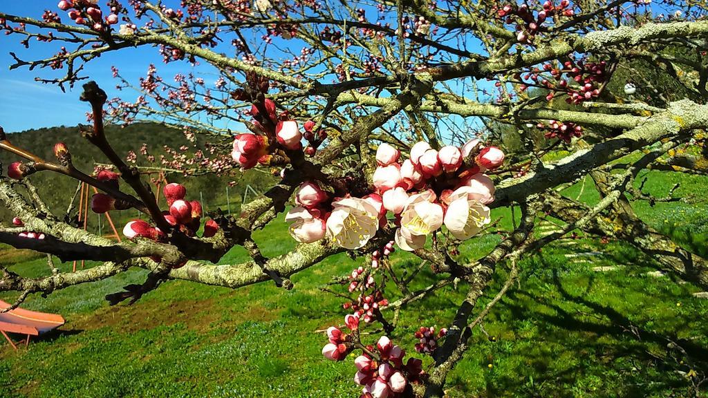 Agriturismo Podere Borgognano 마사마리티마 외부 사진