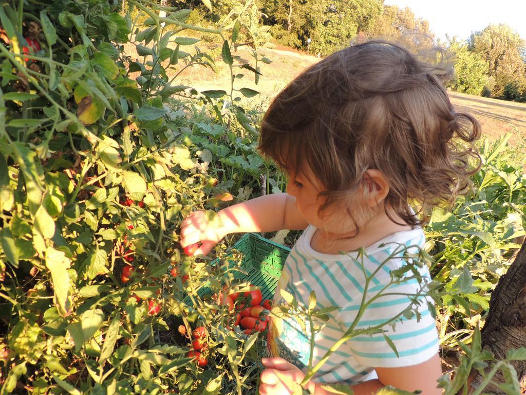 Agriturismo Podere Borgognano 마사마리티마 외부 사진