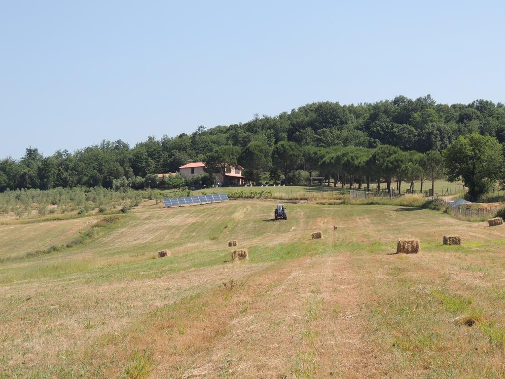 Agriturismo Podere Borgognano 마사마리티마 외부 사진