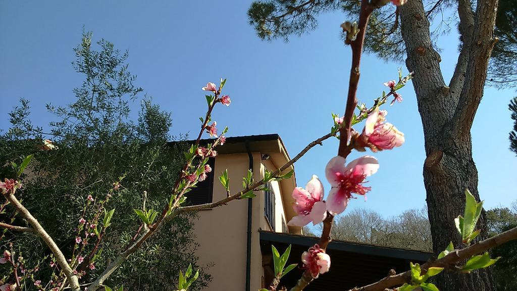 Agriturismo Podere Borgognano 마사마리티마 외부 사진