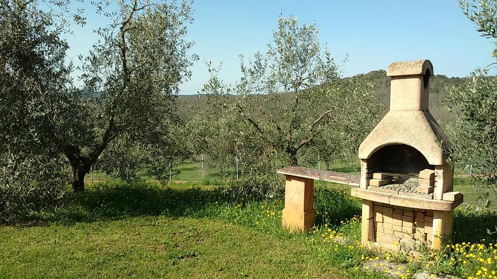 Agriturismo Podere Borgognano 마사마리티마 외부 사진