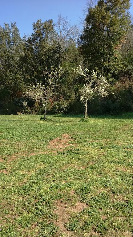 Agriturismo Podere Borgognano 마사마리티마 외부 사진