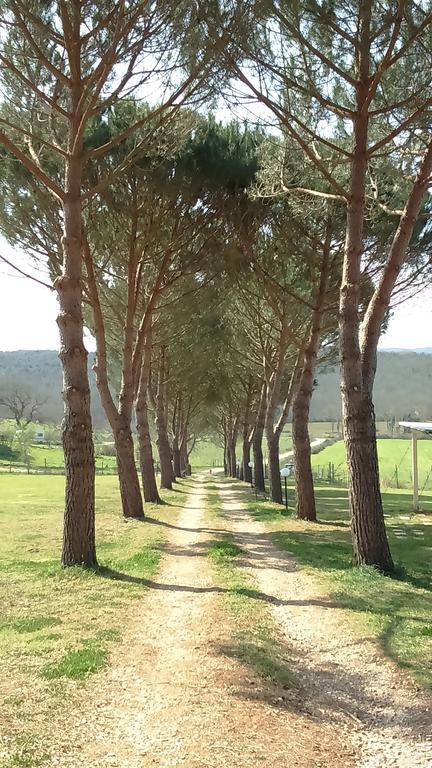 Agriturismo Podere Borgognano 마사마리티마 외부 사진
