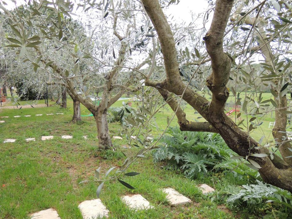 Agriturismo Podere Borgognano 마사마리티마 외부 사진