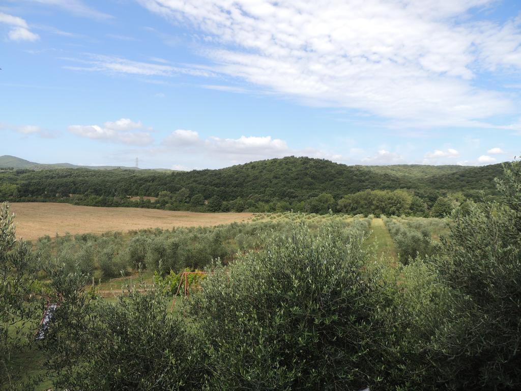 Agriturismo Podere Borgognano 마사마리티마 객실 사진